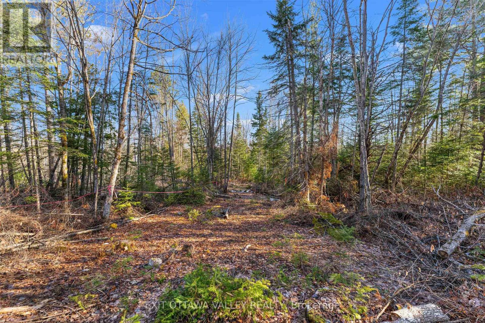 001 Siberia Road S, Madawaska Valley, Ontario  K0J 1B0 - Photo 8 - X12103202