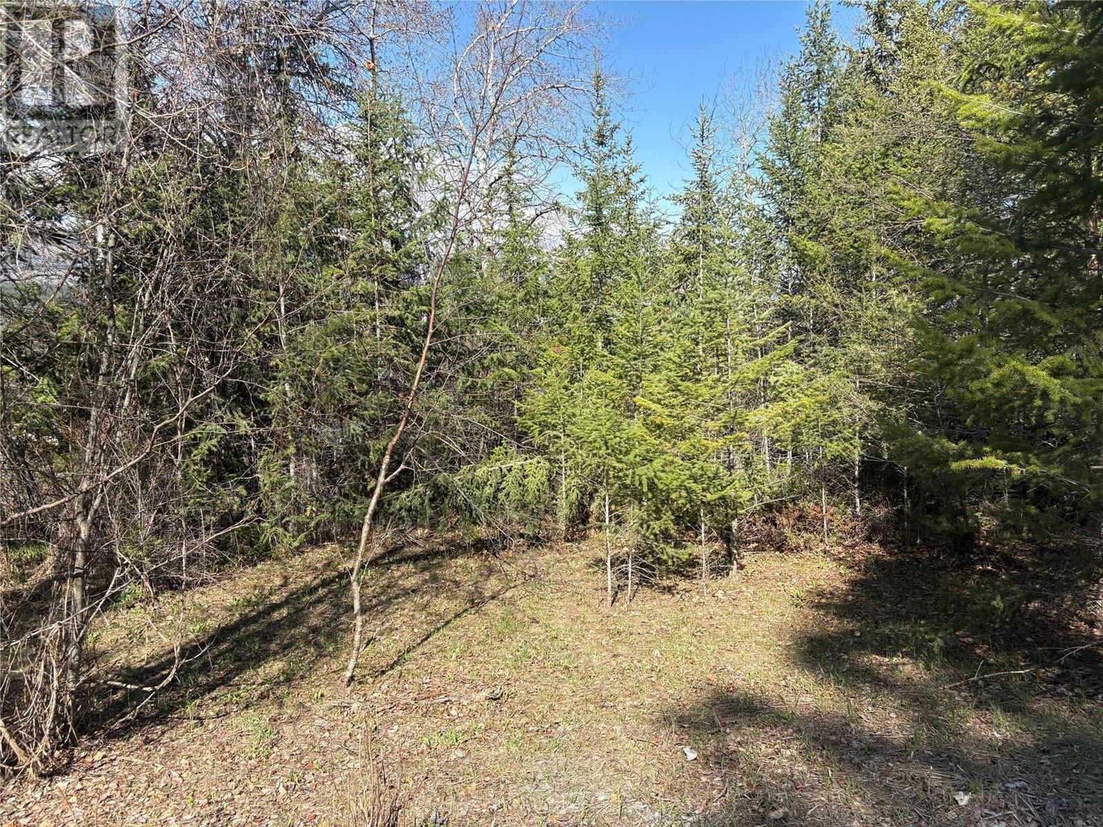 5185 HOT SPRINGS Road, fairmont hot springs, British Columbia