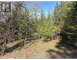 5185 HOT SPRINGS Road, fairmont hot springs, British Columbia
