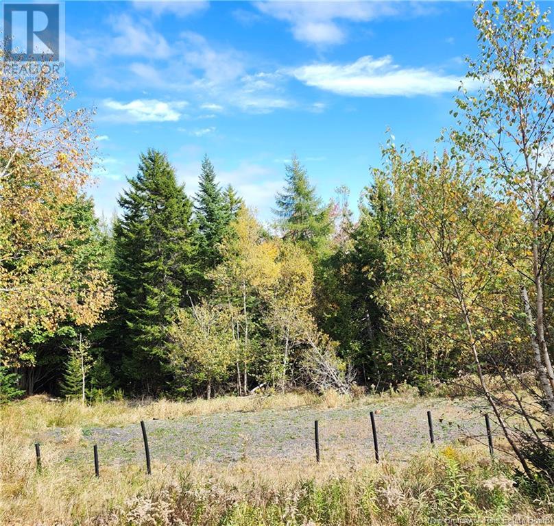 270 Northern Harbour Road, West Isles, New Brunswick  E5V 1G8 - Photo 13 - NB116960