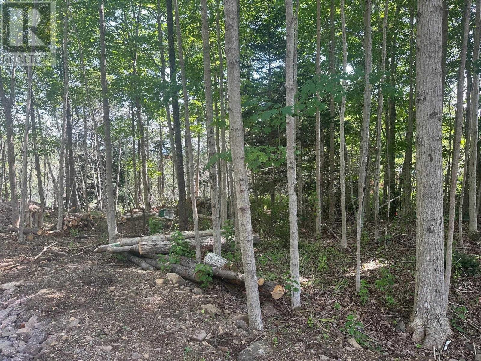 Lot 2 Highway 362, Victoria Vale, Nova Scotia  B0S 1P0 - Photo 11 - 202508863