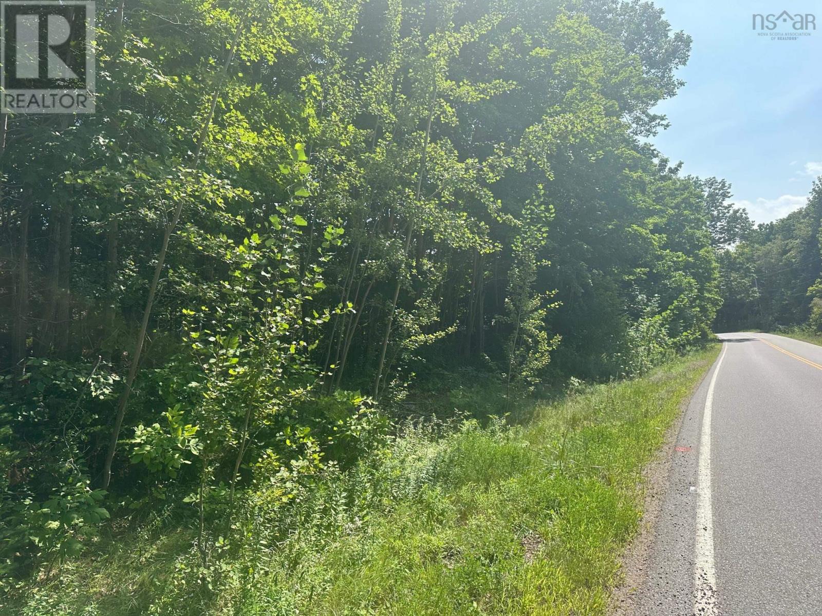 Lot 2 Highway 362, Victoria Vale, Nova Scotia  B0S 1P0 - Photo 4 - 202508863