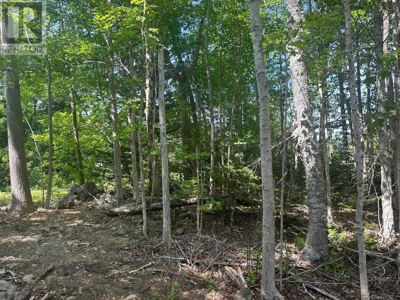 Lot 2 Highway 362, Victoria Vale, Nova Scotia  B0S 1P0 - Photo 7 - 202508863