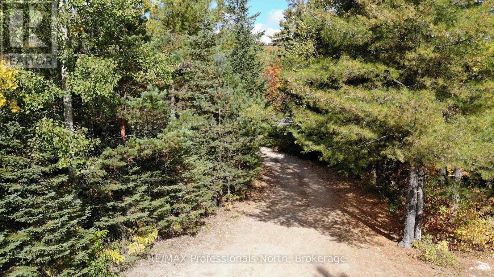10916 Highway 503 Highway, Highlands East, Ontario  K0M 1R0 - Photo 33 - X12103632