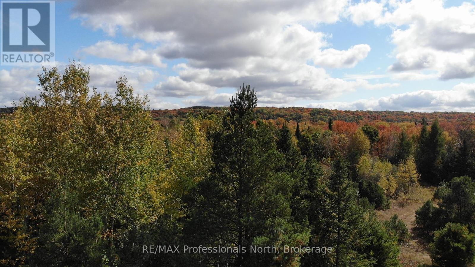 10916 Highway 503 Highway, Highlands East, Ontario  K0M 1R0 - Photo 34 - X12103632