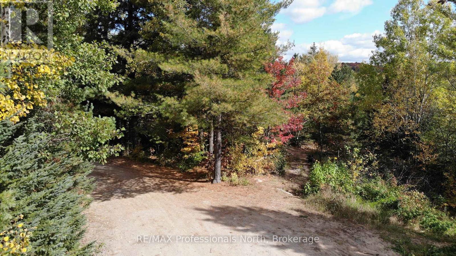 10916 Highway 503 Highway, Highlands East, Ontario  K0M 1R0 - Photo 37 - X12103632