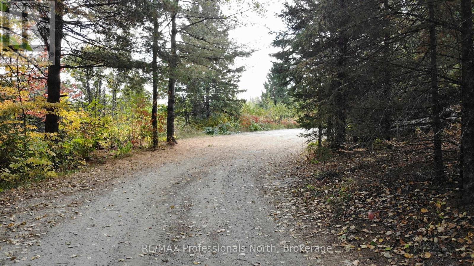 10916 Highway 503 Highway, Highlands East, Ontario  K0M 1R0 - Photo 40 - X12103632