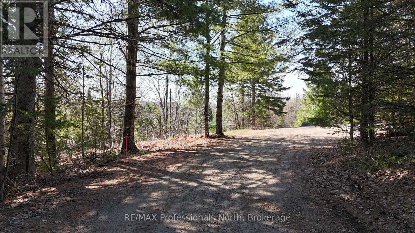 10916 Highway 503 Highway, Highlands East, Ontario  K0M 1R0 - Photo 41 - X12103632