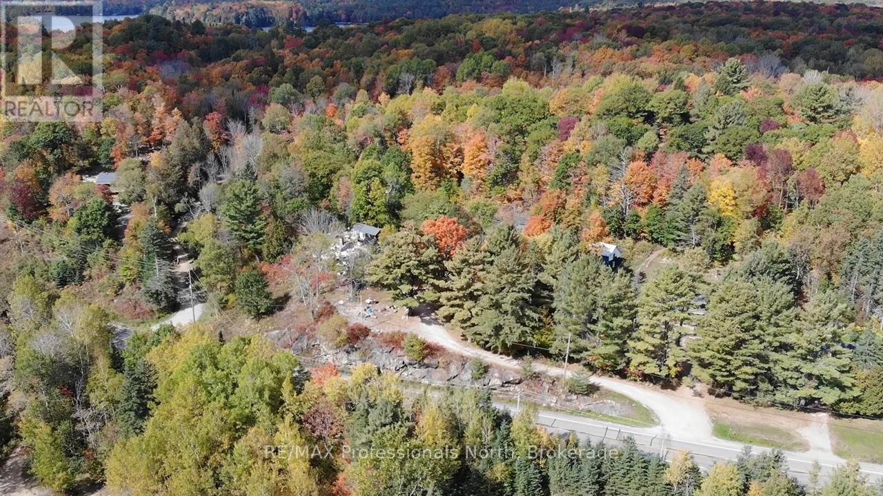 10916 Highway 503 Highway, Highlands East, Ontario  K0M 1R0 - Photo 42 - X12103632