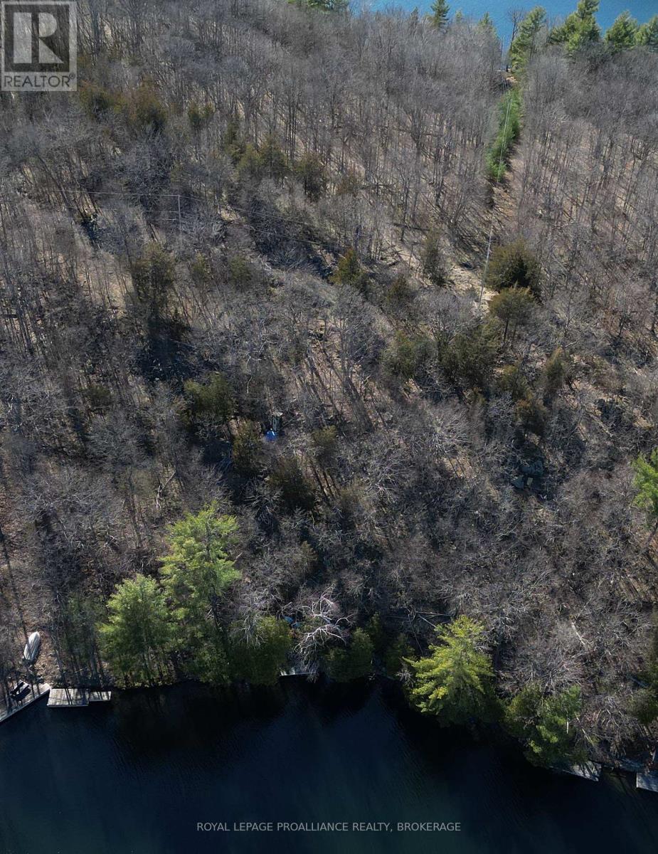Lot 8 - 183 Sleepy Haven Lane, Frontenac (Frontenac South), Ontario  K0H 2L0 - Photo 4 - X12103792