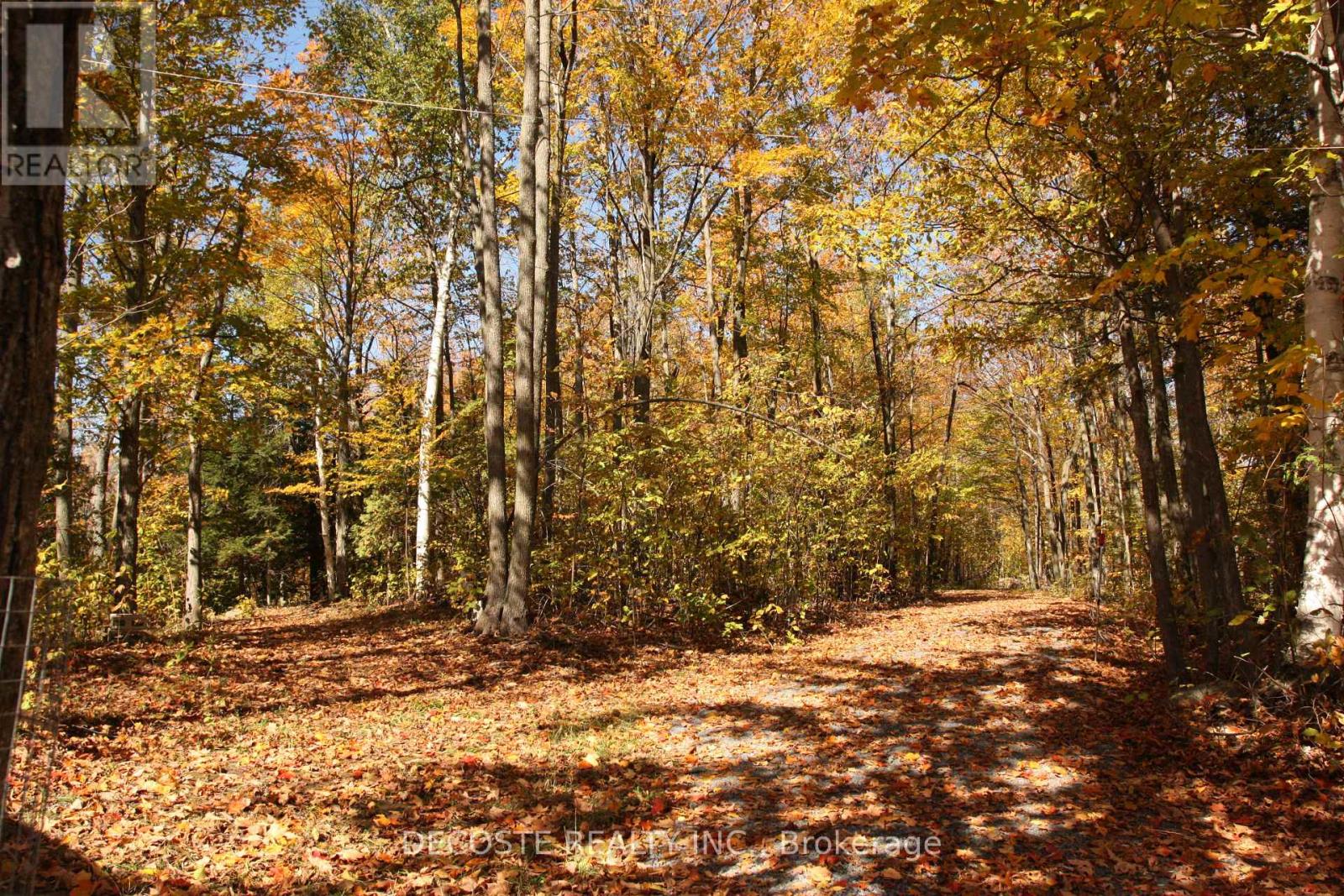 0000 County 43 Road, North Glengarry, Ontario  K0C 1A0 - Photo 18 - X12103763