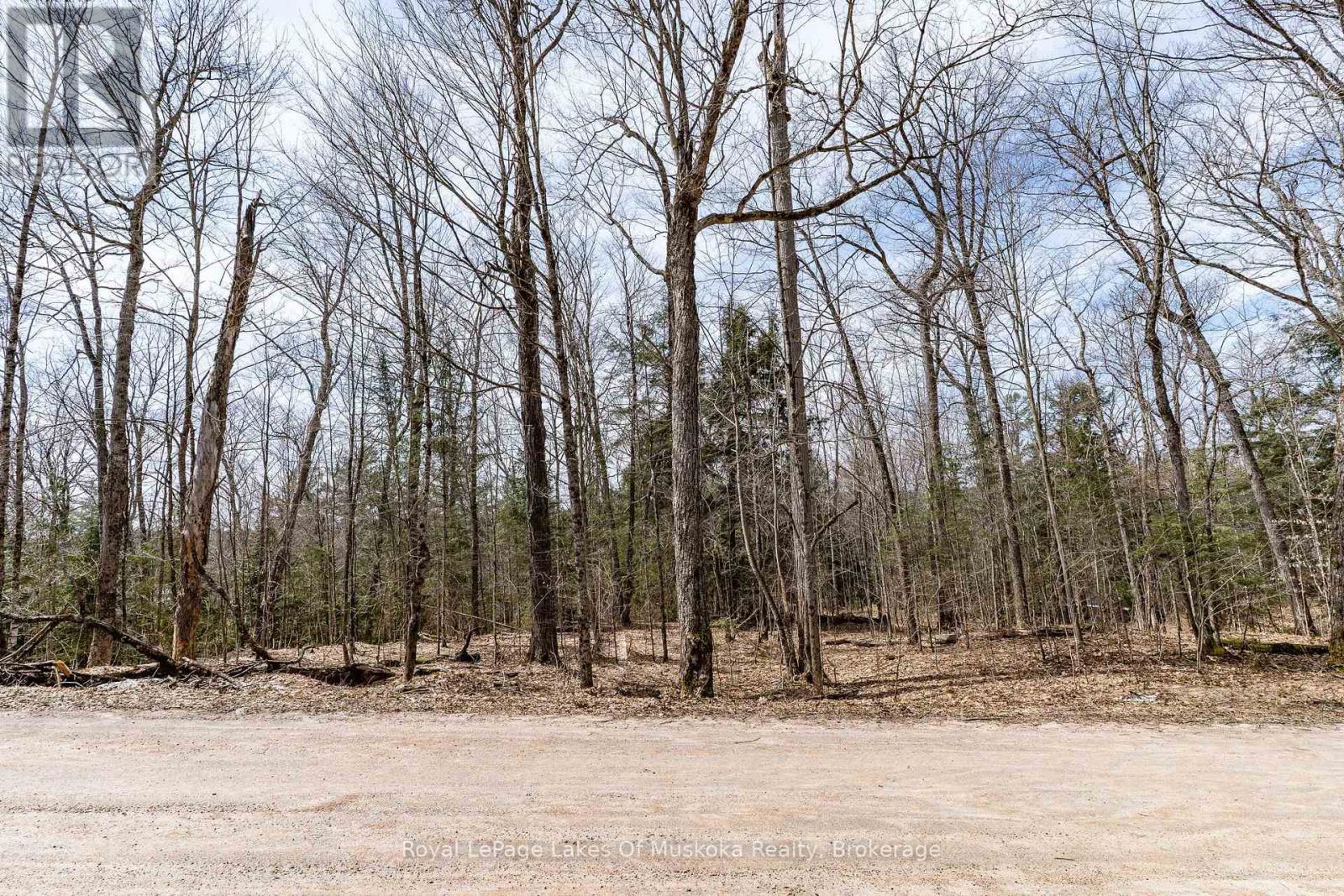 0 Bird Lake Road, Bracebridge, Ontario  P1L 1X1 - Photo 24 - X12103787
