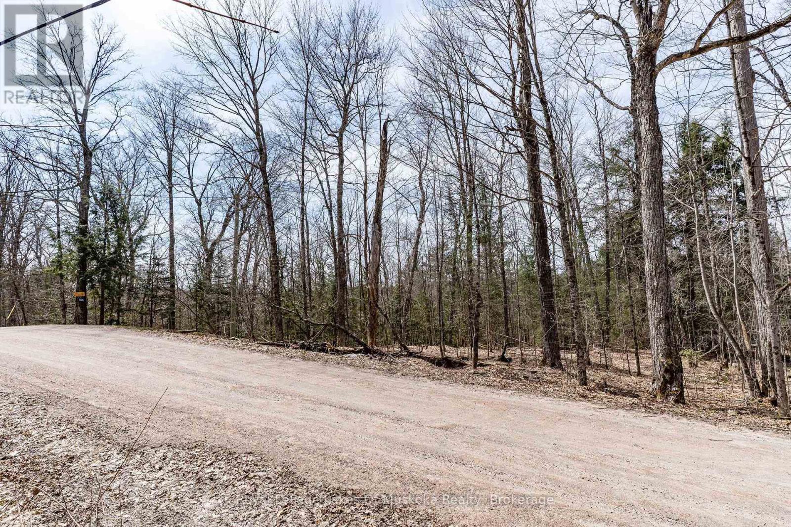 0 Bird Lake Road, Bracebridge, Ontario  P1L 1X1 - Photo 25 - X12103787
