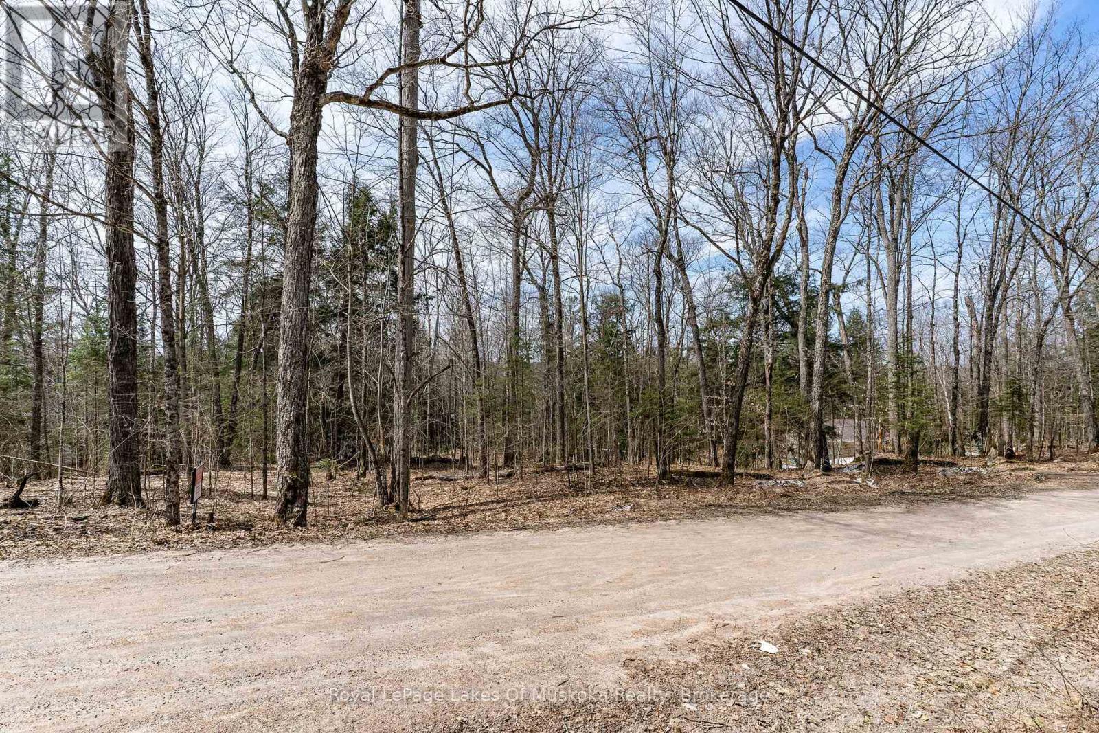 0 Bird Lake Road, Bracebridge, Ontario  P1L 1X1 - Photo 26 - X12103787