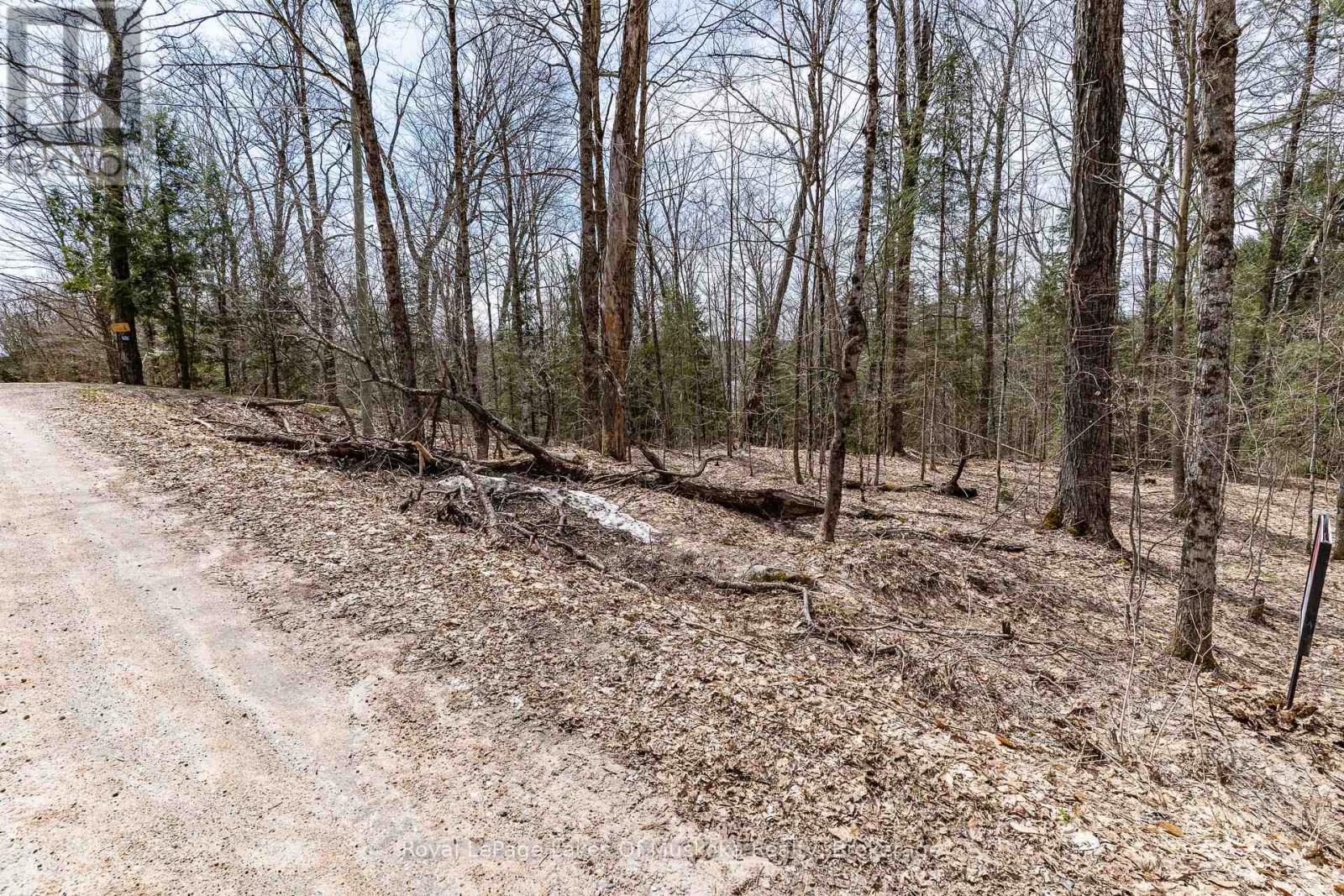 0 Bird Lake Road, Bracebridge, Ontario  P1L 1X1 - Photo 28 - X12103787