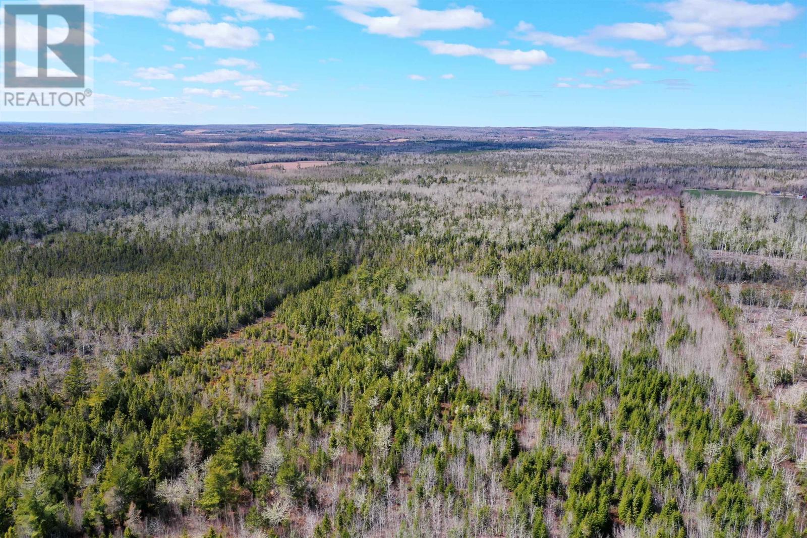 Acreage Grays Road, Rte 201, Hopefield, Prince Edward Island  C0A 1W0 - Photo 12 - 202508889
