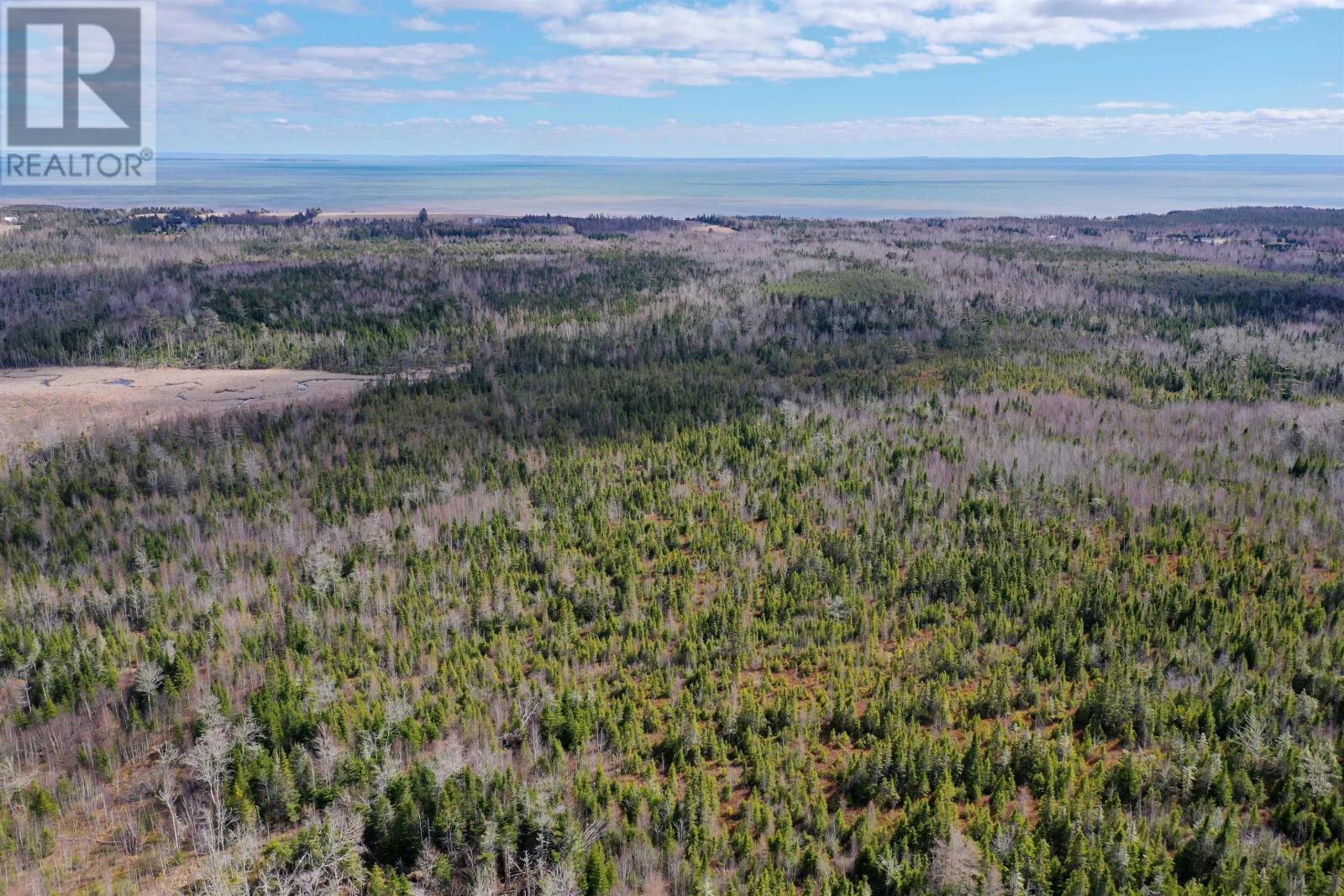 Acreage Grays Road, Rte 201, Hopefield, Prince Edward Island  C0A 1W0 - Photo 14 - 202508889