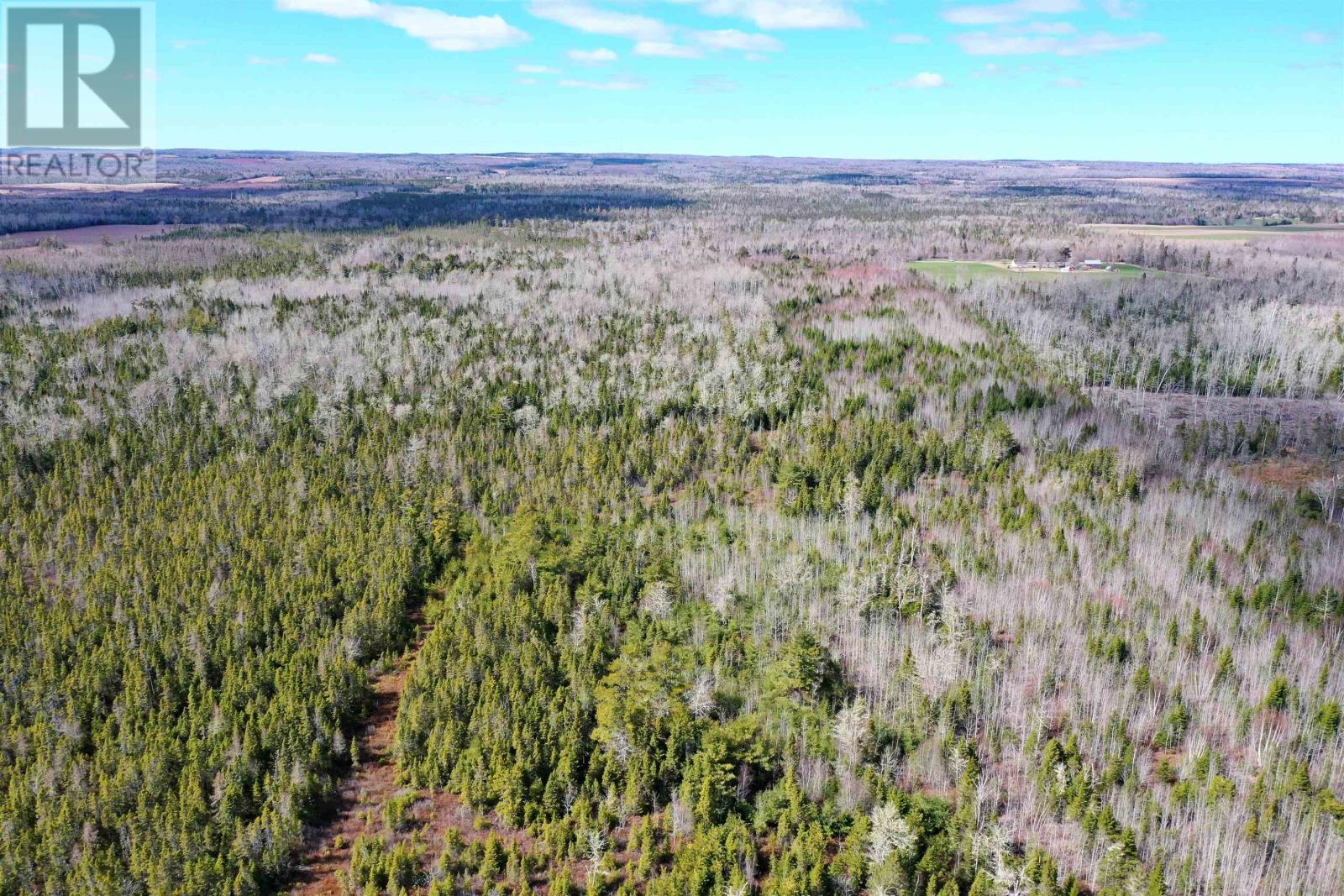 Acreage Grays Road, Rte 201, Hopefield, Prince Edward Island  C0A 1W0 - Photo 15 - 202508889