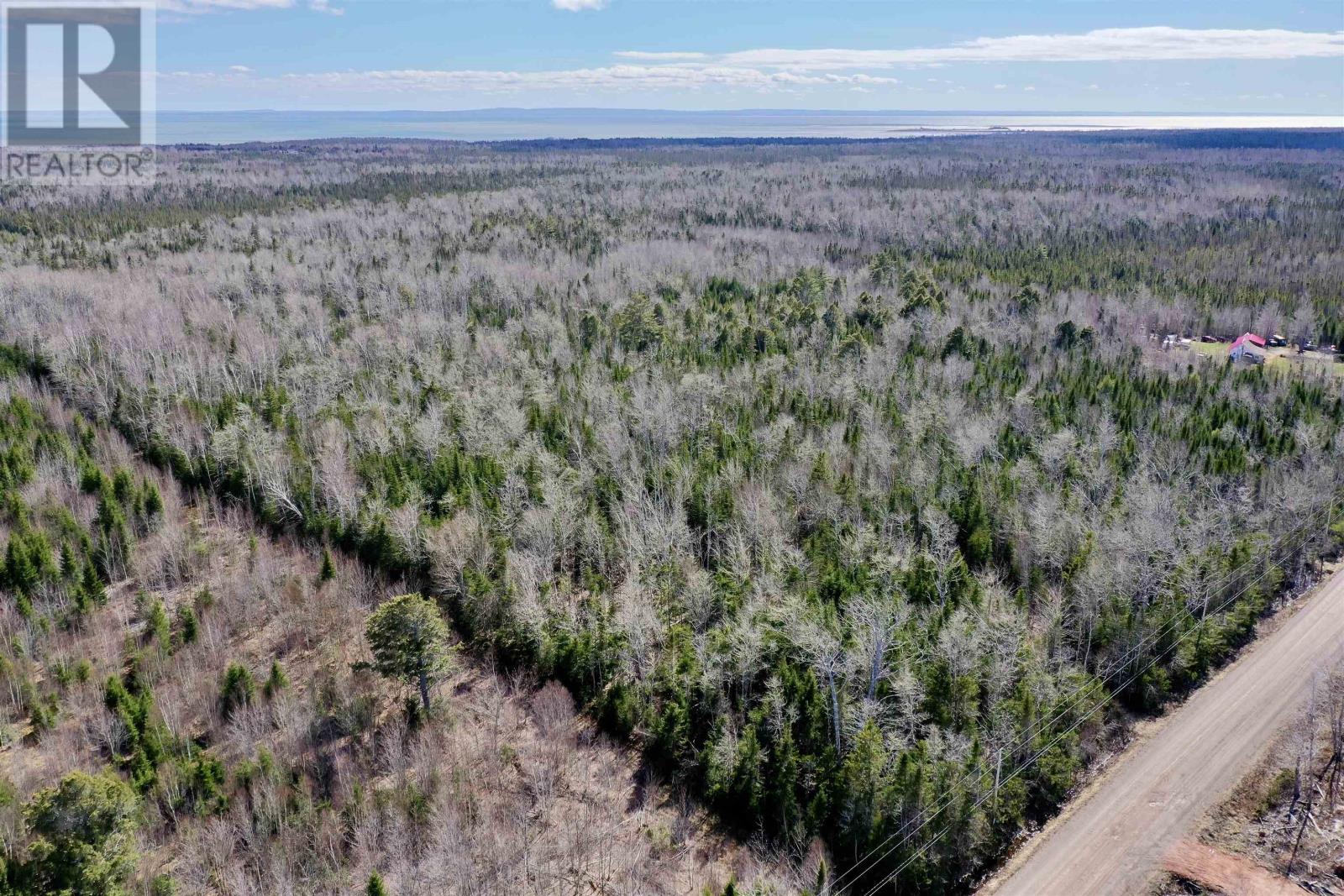 Acreage Grays Road, Rte 201, Hopefield, Prince Edward Island  C0A 1W0 - Photo 16 - 202508889