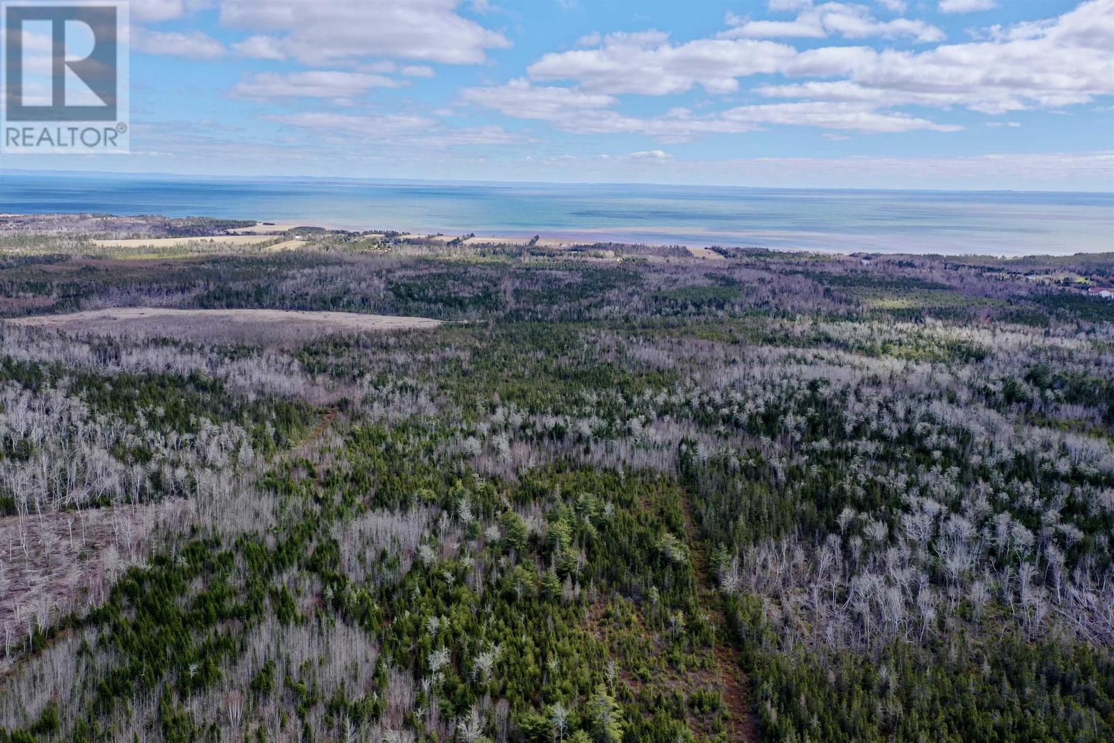 Acreage Grays Road, Rte 201, Hopefield, Prince Edward Island  C0A 1W0 - Photo 6 - 202508889