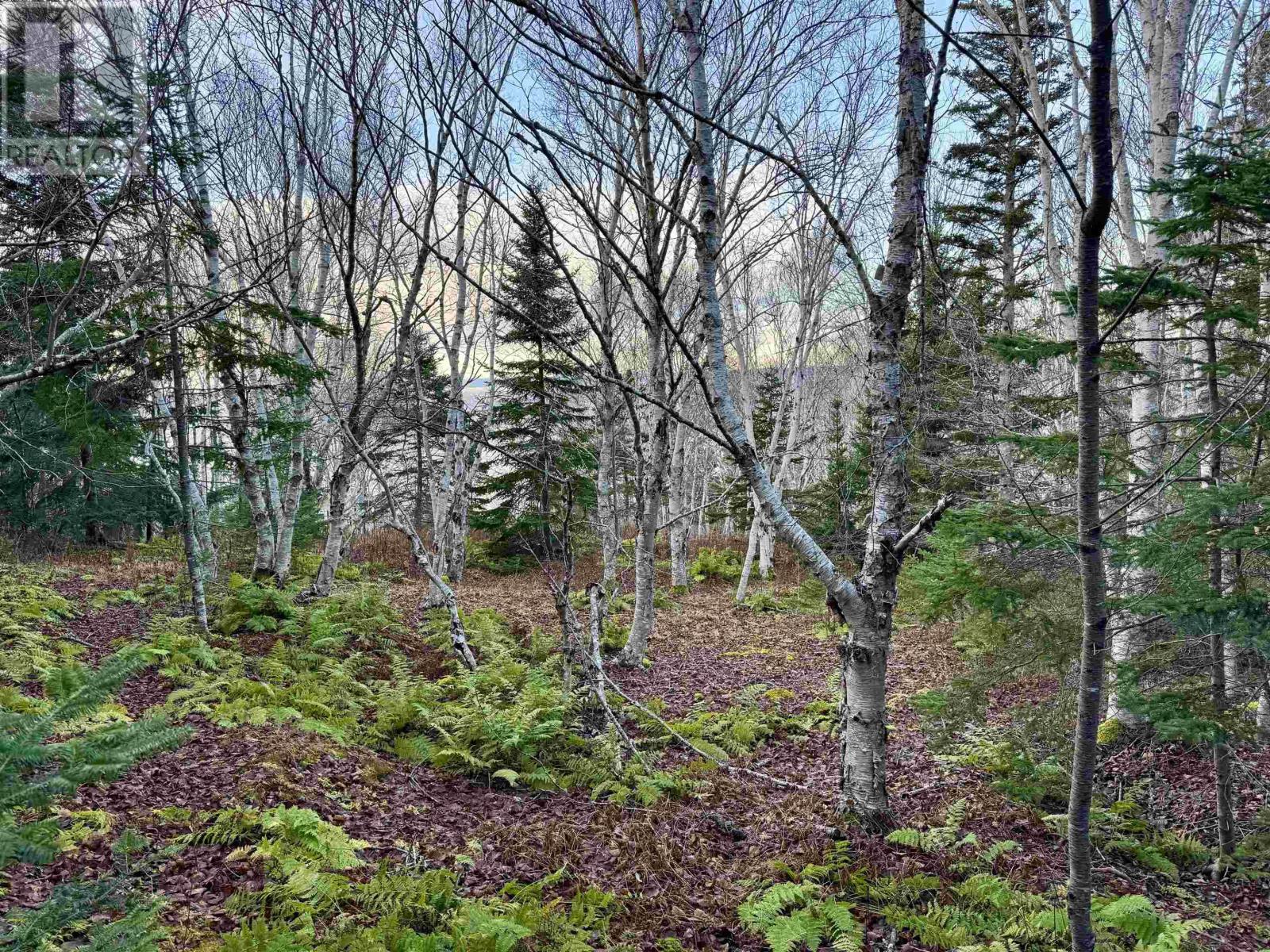 Property at Lot Highway 104 image 5