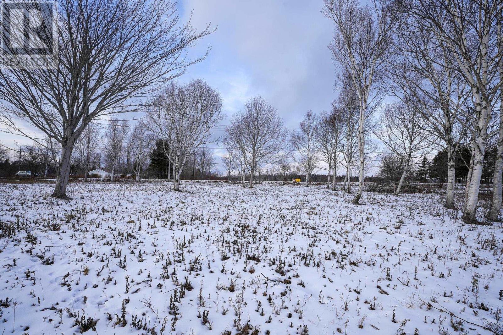 Lot 4 Highway 2, Upper Economy, Nova Scotia  B0M 1B0 - Photo 6 - 202501430