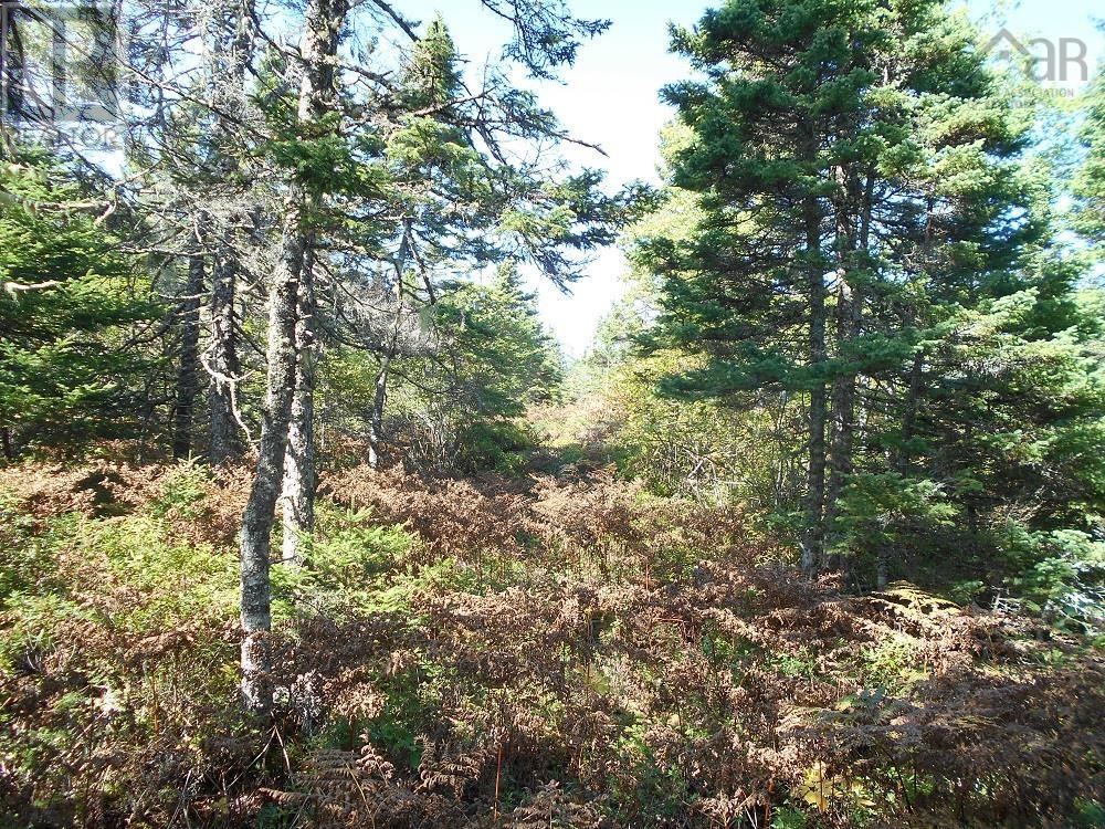 Lot 2 Shad Bay, Lot 2 Grant 1033 Northwesthead, Shad Bay, Nova Scotia  B3T 2B5 - Photo 14 - 202502423