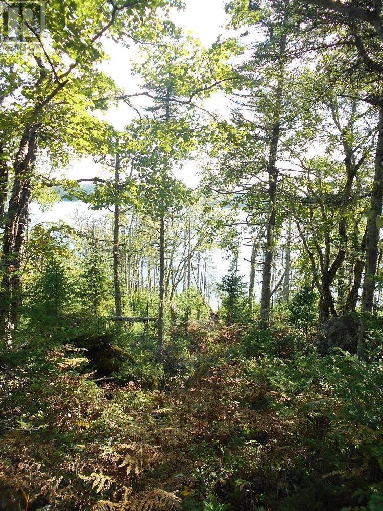Lot 2 Shad Bay, Lot 2 Grant 1033 Northwesthead, Shad Bay, Nova Scotia  B3T 2B5 - Photo 13 - 202502423
