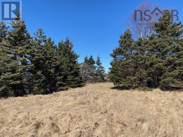 Lot R East Chezzetcook Road, East Chezzetcook, Nova Scotia  B0J 1N0 - Photo 10 - 202504091