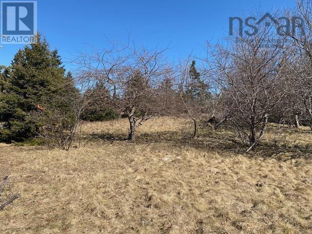 Lot R East Chezzetcook Road, East Chezzetcook, Nova Scotia  B0J 1N0 - Photo 11 - 202504091