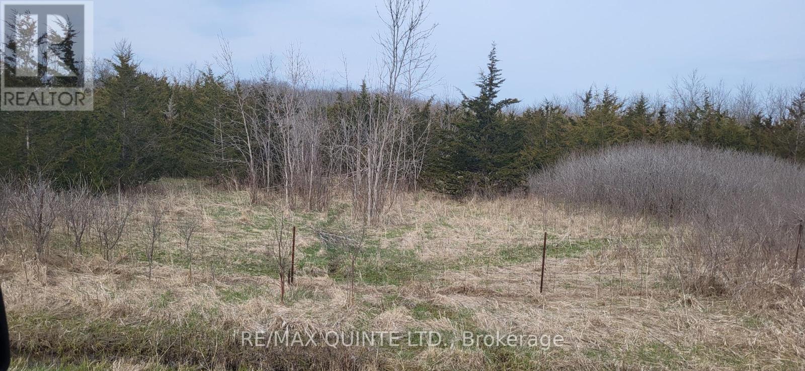 Across From 3904 Cty Rd 49, Prince Edward County (Sophiasburg Ward), Ontario  K0K 2T0 - Photo 28 - X12099798