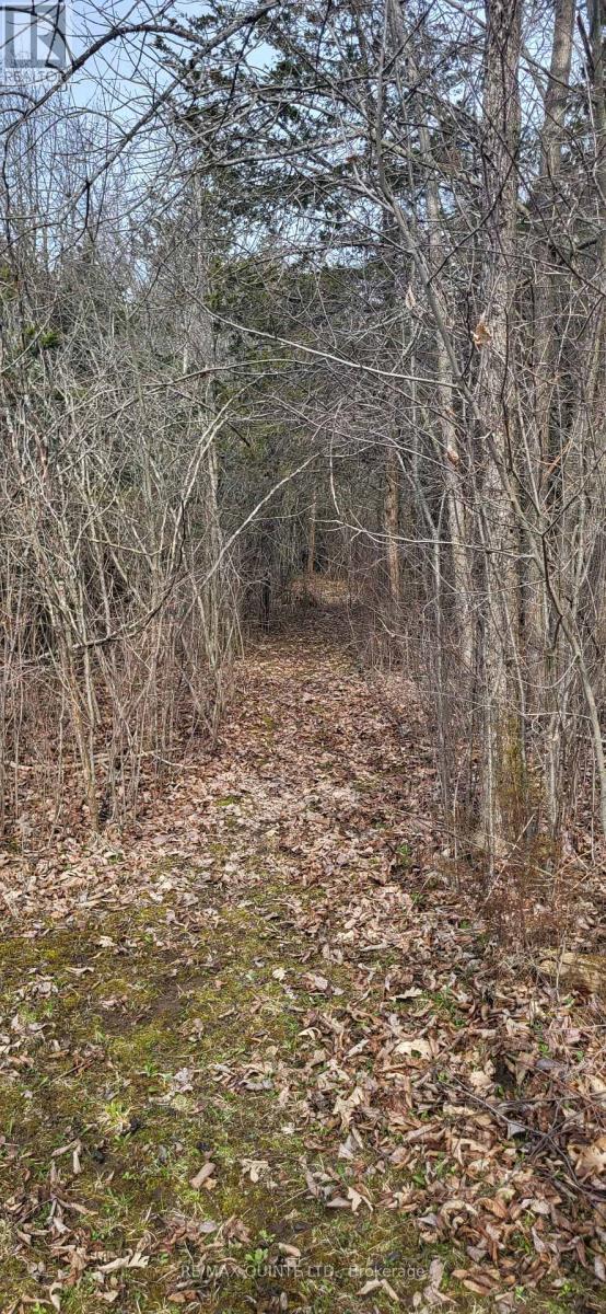 Across From 3904 Cty Rd 49, Prince Edward County (Sophiasburg Ward), Ontario  K0K 2T0 - Photo 24 - X12099798