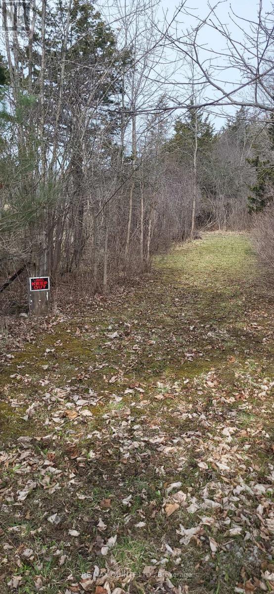 Across From 3904 Cty Rd 49, Prince Edward County (Sophiasburg Ward), Ontario  K0K 2T0 - Photo 21 - X12099798