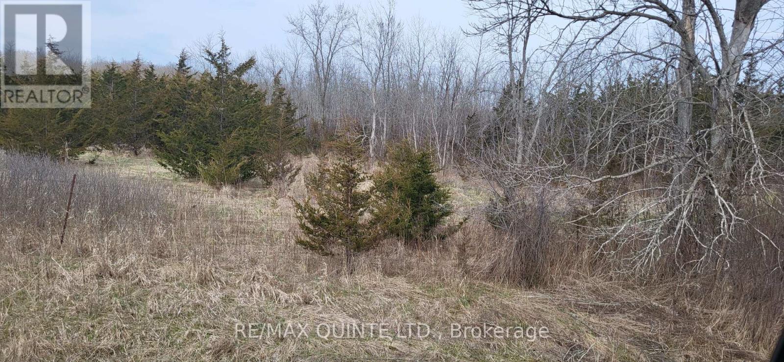 Across From 3904 Cty Rd 49, Prince Edward County (Sophiasburg Ward), Ontario  K0K 2T0 - Photo 29 - X12099798