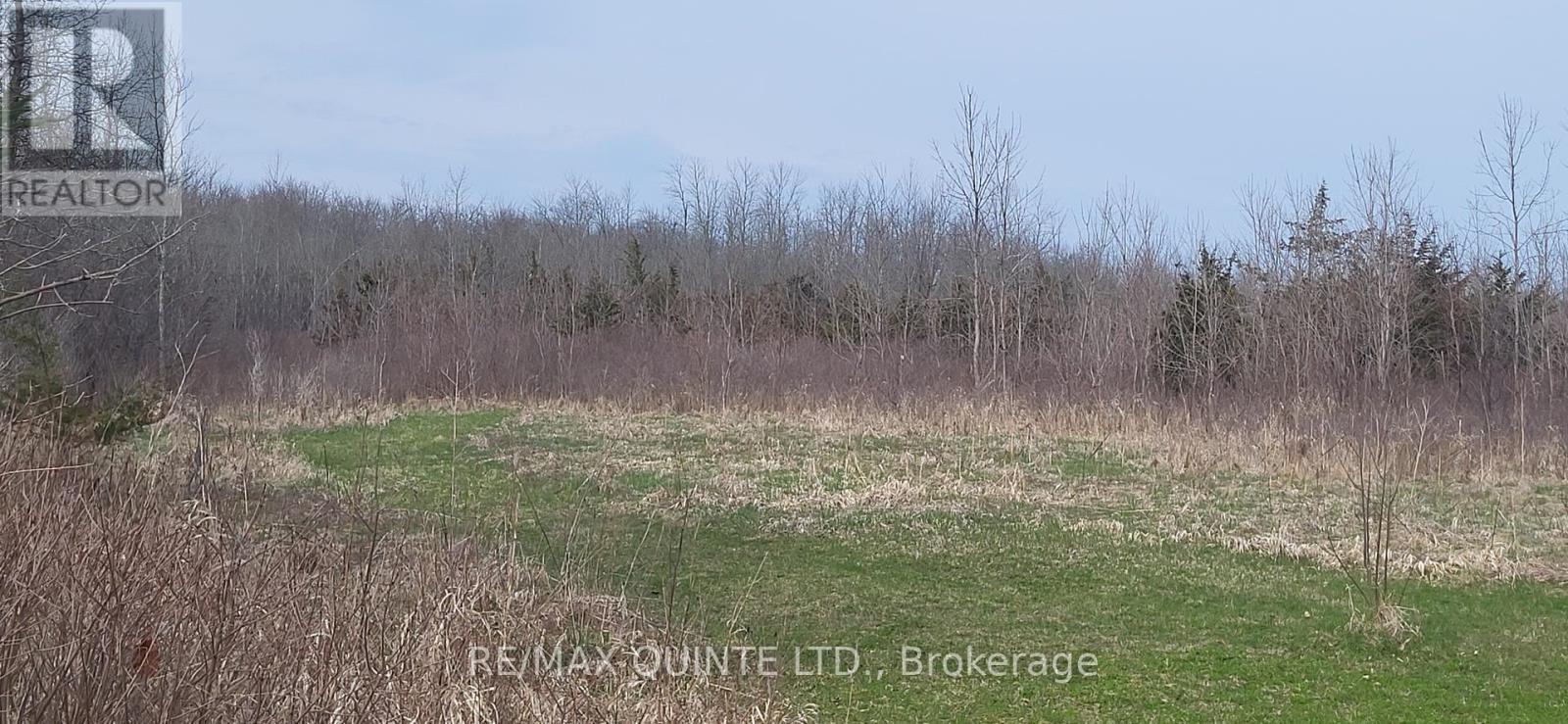 Across From 3904 Cty Rd 49, Prince Edward County, Ontario  K0K 2T0 - Photo 33 - X12099798