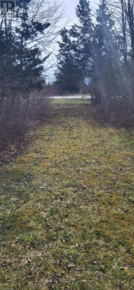 Across From 3904 Cty Rd 49, Prince Edward County (Sophiasburg Ward), Ontario  K0K 2T0 - Photo 25 - X12099798