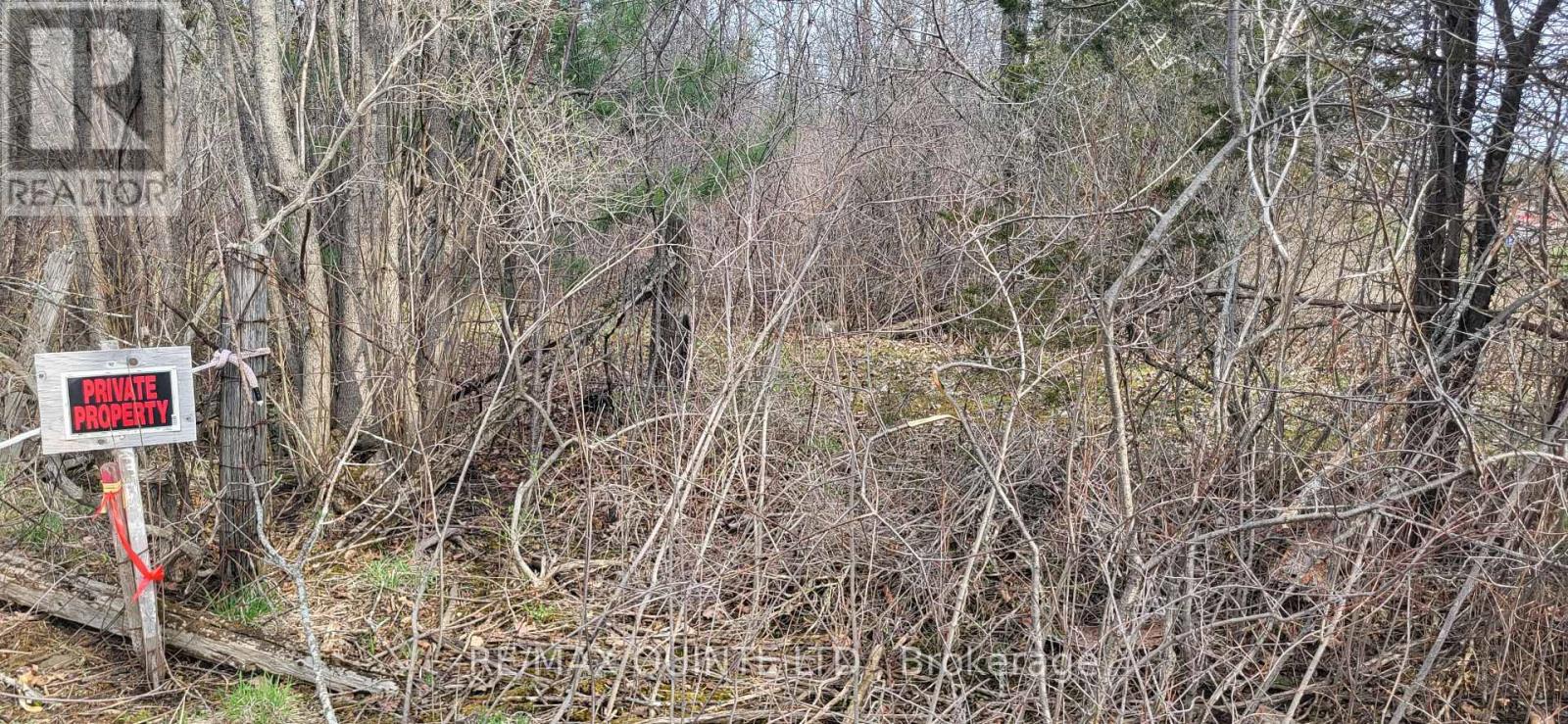 Across From 3904 Cty Rd 49, Prince Edward County (Sophiasburg Ward), Ontario  K0K 2T0 - Photo 22 - X12099798