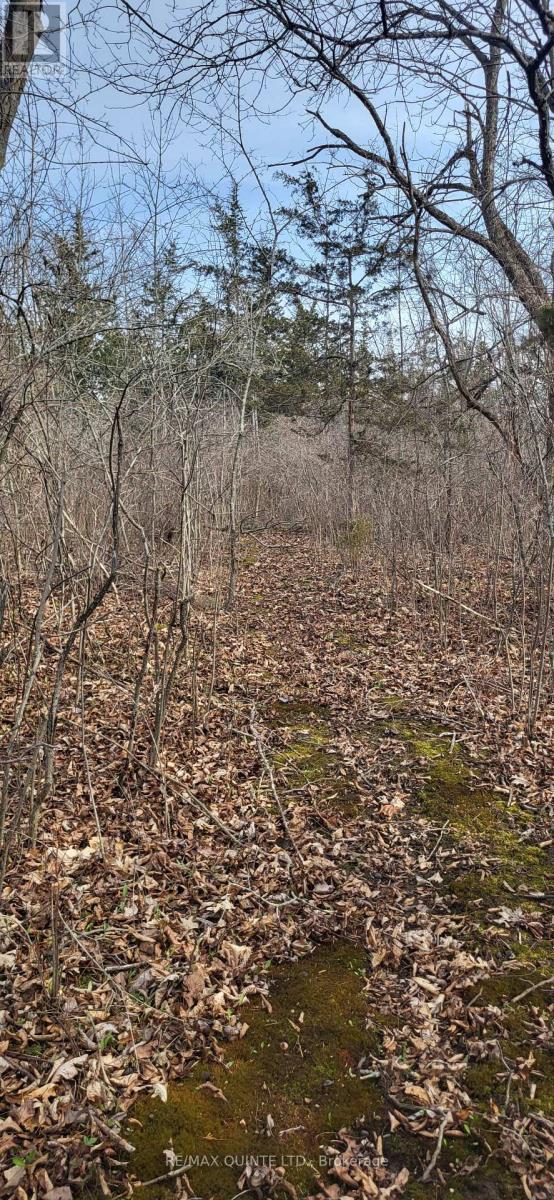 Across From 3904 Cty Rd 49, Prince Edward County (Sophiasburg Ward), Ontario  K0K 2T0 - Photo 23 - X12099798