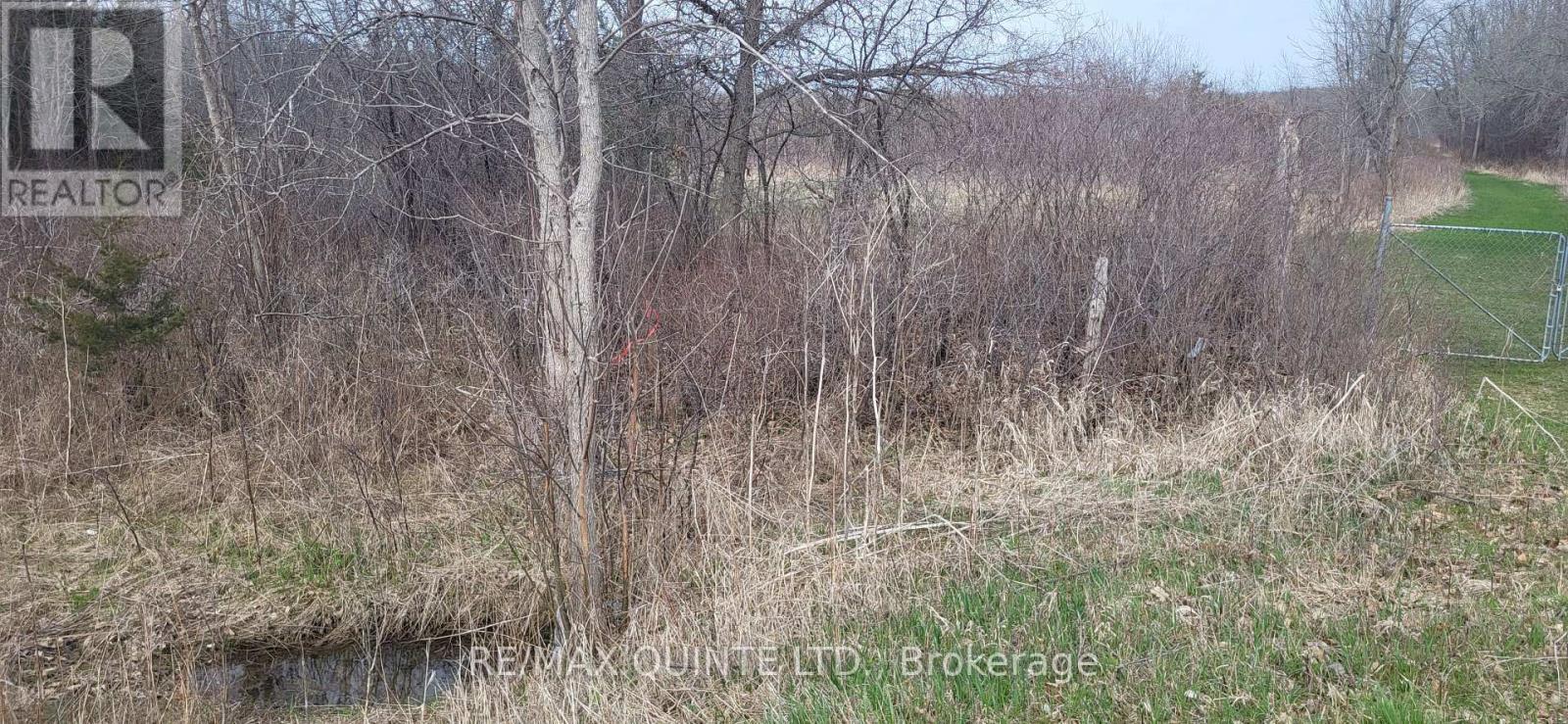 Across From 3904 Cty Rd 49, Prince Edward County, Ontario  K0K 2T0 - Photo 34 - X12099798