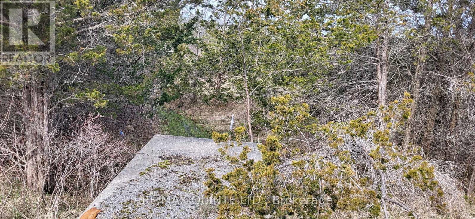 Across From 3904 Cty Rd 49, Prince Edward County (Sophiasburg Ward), Ontario  K0K 2T0 - Photo 27 - X12099798