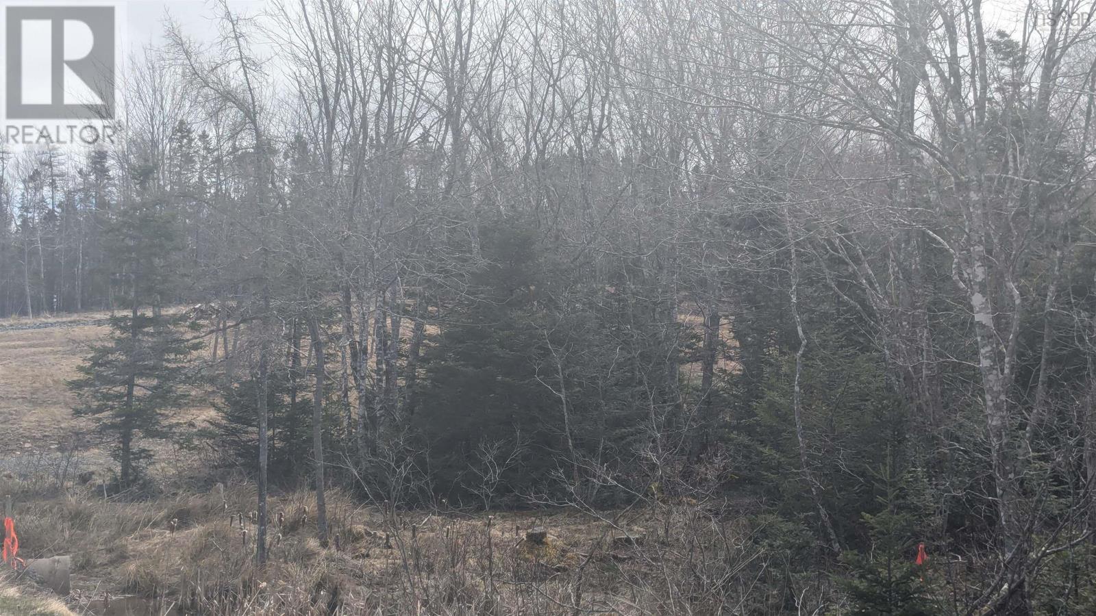 Lot 4 French Cove Road, French Cove, Nova Scotia  B0E 3B0 - Photo 18 - 202502713