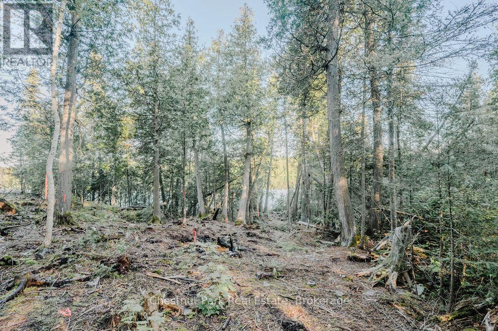 7298 Highway 11 N, Temagami, Ontario  P0H 2H0 - Photo 11 - X12104460