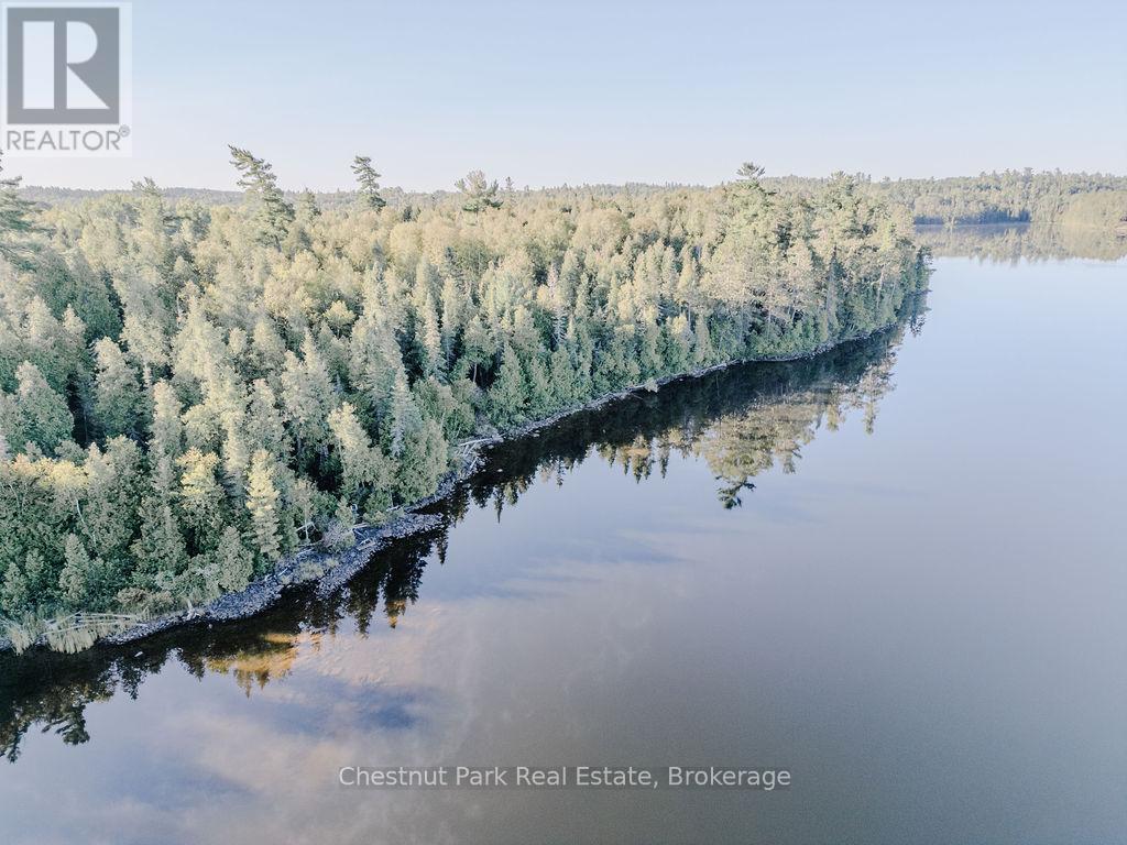 7298 Highway 11 N, Temagami, Ontario  P0H 2H0 - Photo 19 - X12104460