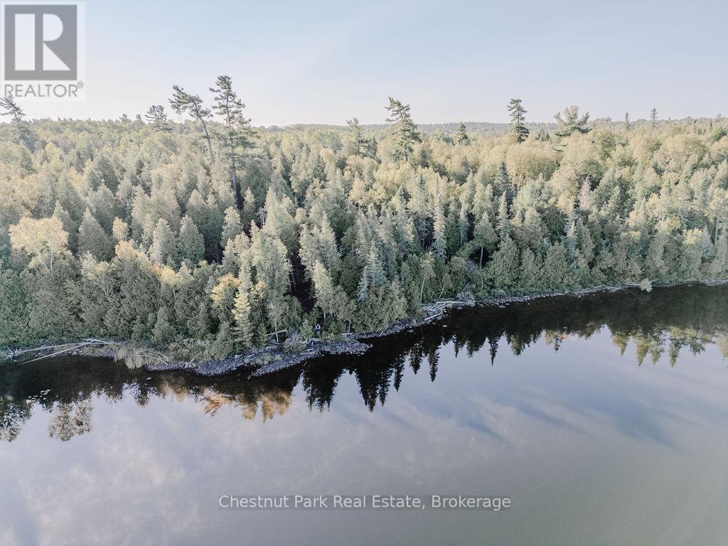 7298 Highway 11 N, Temagami, Ontario  P0H 2H0 - Photo 2 - X12104460