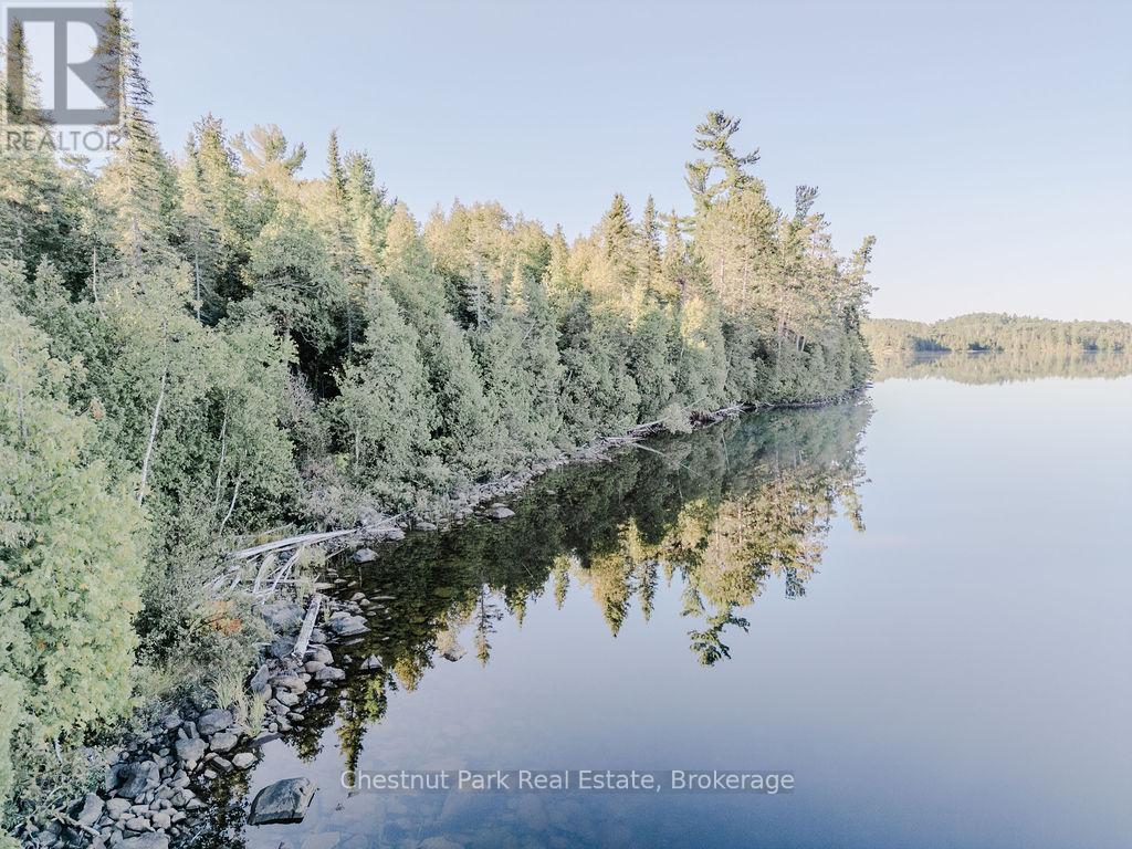 7298 Highway 11 N, Temagami, Ontario  P0H 2H0 - Photo 24 - X12104460