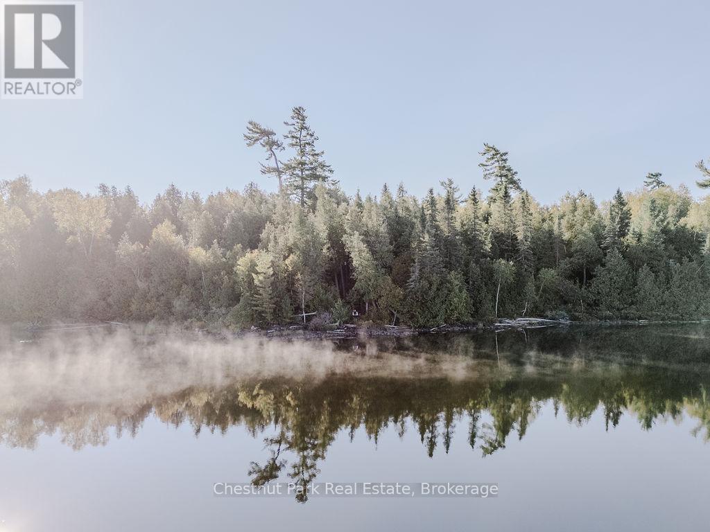 7298 Highway 11 N, Temagami, Ontario  P0H 2H0 - Photo 3 - X12104460