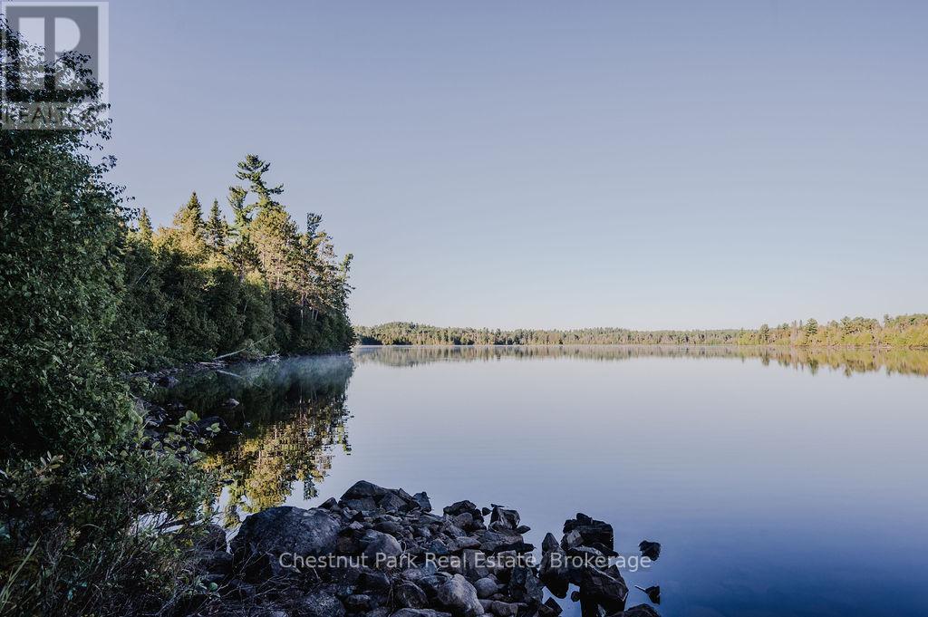 7298 Highway 11 N, Temagami, Ontario  P0H 2H0 - Photo 4 - X12104460