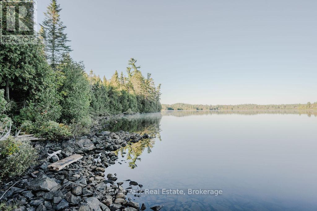7298 Highway 11 N, Temagami, Ontario  P0H 2H0 - Photo 5 - X12104460