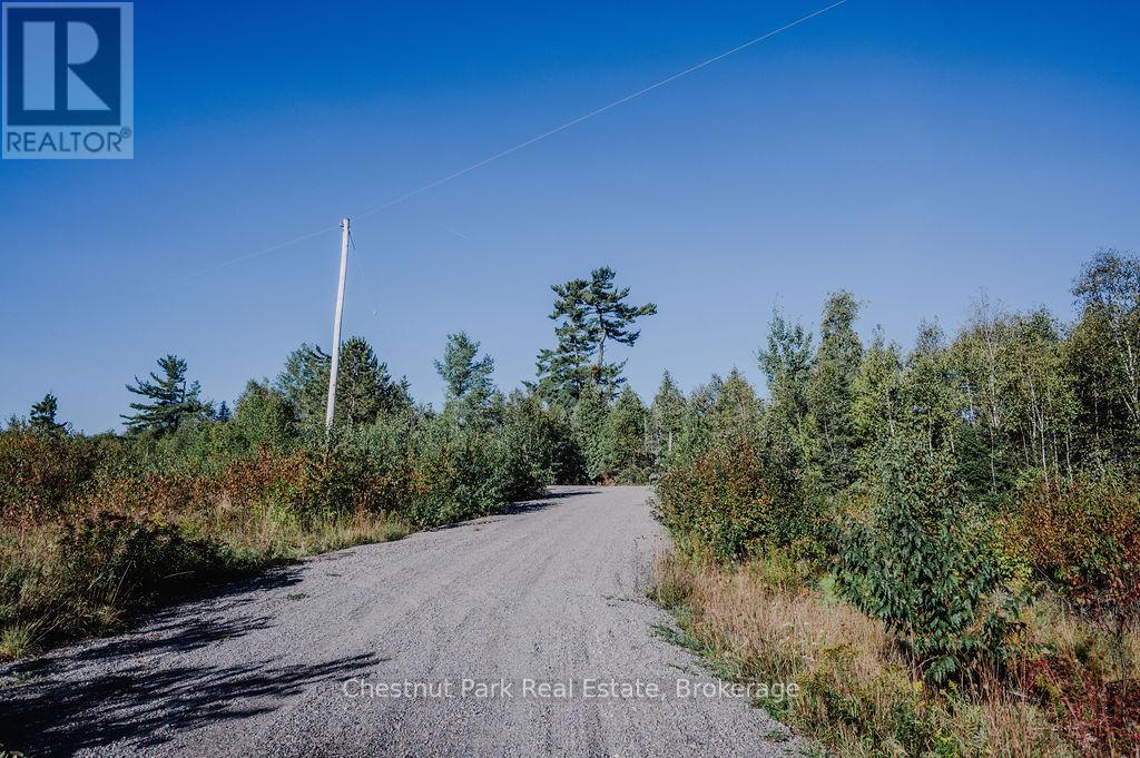 7298 Highway 11 N, Temagami, Ontario  P0H 2H0 - Photo 6 - X12104460