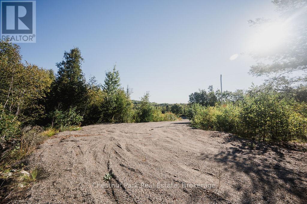 7298 Highway 11 N, Temagami, Ontario  P0H 2H0 - Photo 9 - X12104460